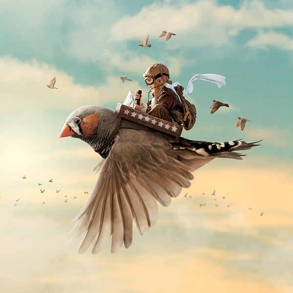 Un enfant qui pilote un oiseaux