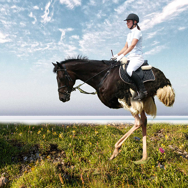 Photo-montage d'une personne chevauchant une autruche